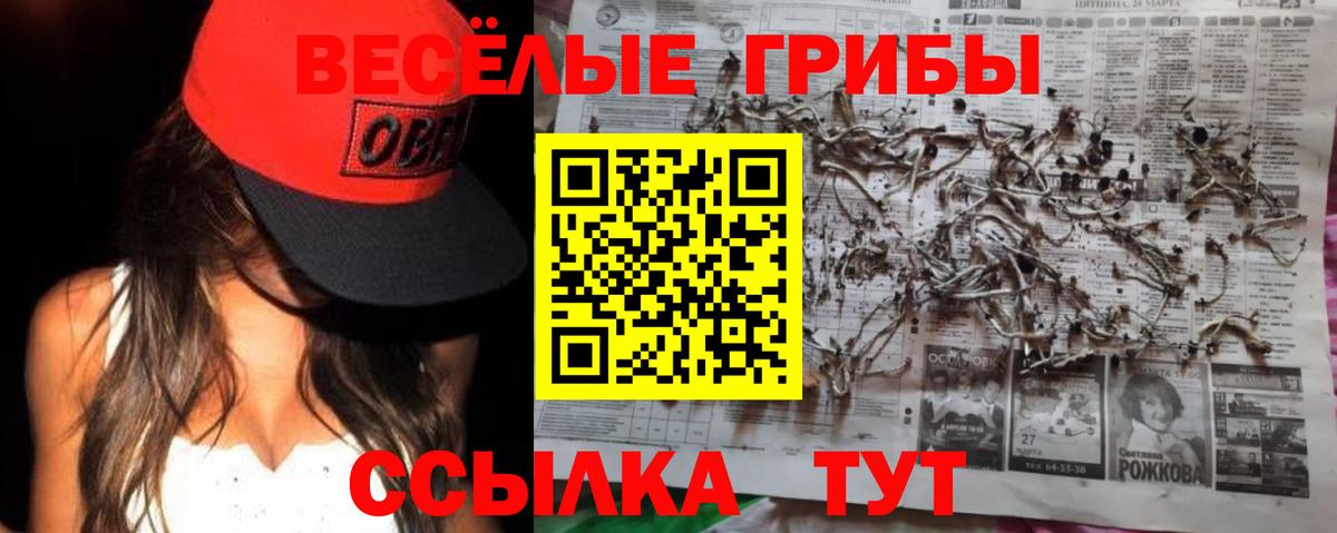 Псилоцибиновые грибы Psilocybine cubensis Иркутск