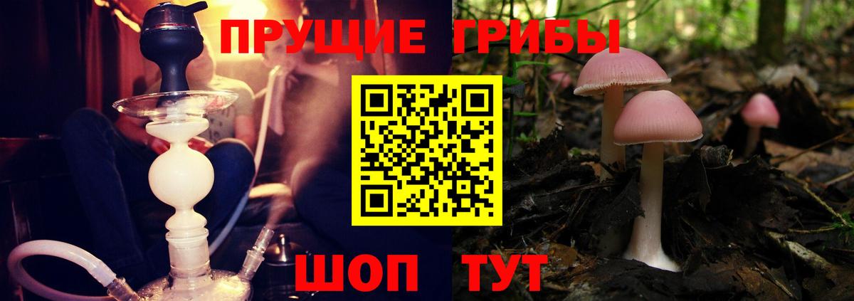 Иркутск  Псилоцибиновые грибы мицелий  Галлюциногенные грибы Psilocybe  Вход с VPN 